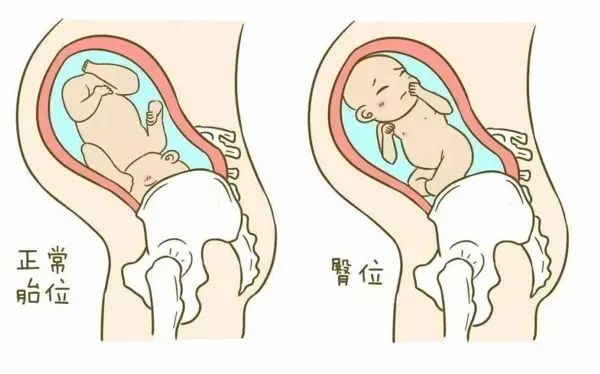 微信图片_20221210121144.jpg
