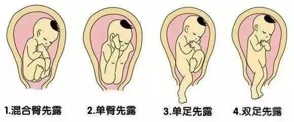 微信图片_20221210121151.png