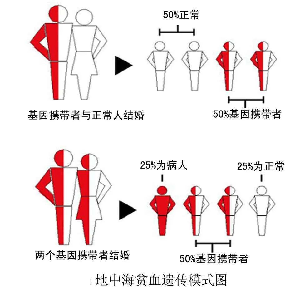 微信图片_20220507093849.jpg