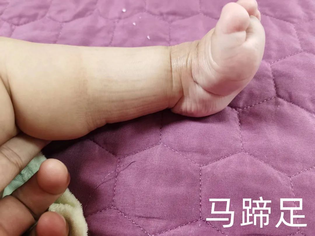 微信图片_20220509001131.jpg
