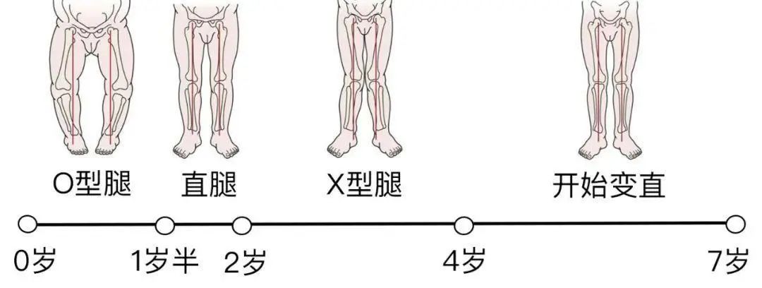 微信图片_20220802235934.jpg