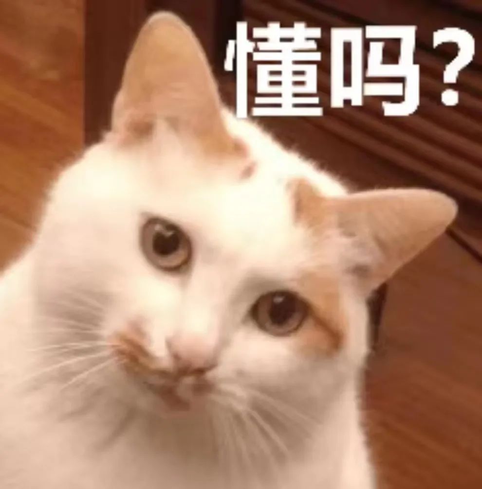 微信图片_20220805150739.jpg