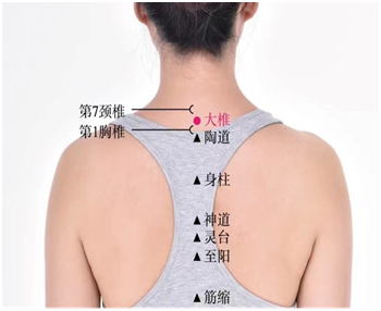 微信图片_20230118084220.png