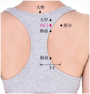 微信图片_20230118084239.png