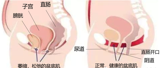 微信图片_20230309105647.png