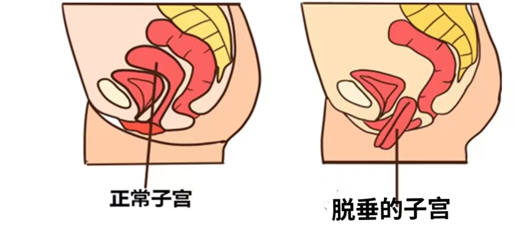 微信图片_20230309105653.png