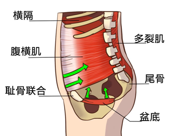 微信图片_20230309110028.png
