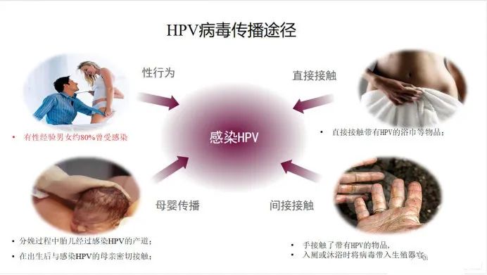 微信图片_20230423105654.jpg