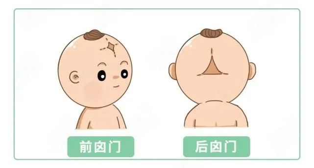 微信图片_20230619115032.jpg