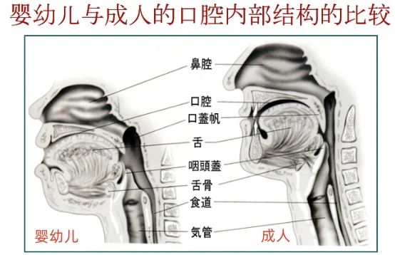 微信图片_20230705095951.jpg