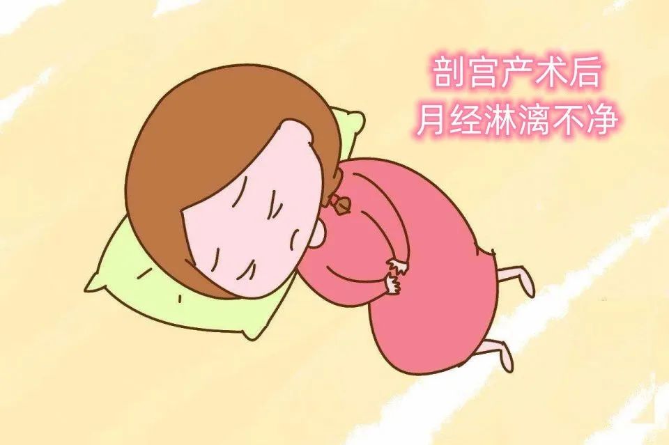 微信图片_20230714152955.jpg