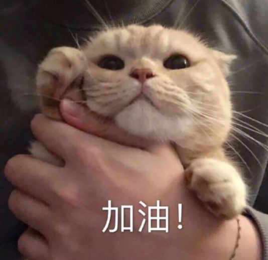 微信图片_20230808100501.png
