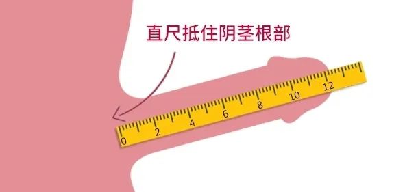 微信图片_20230909225355_1.jpg