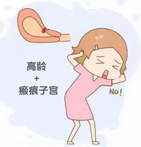 微信图片_20240930165302.jpg