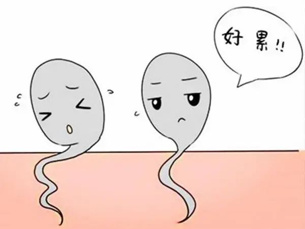 微信图片_20241028150119.jpg