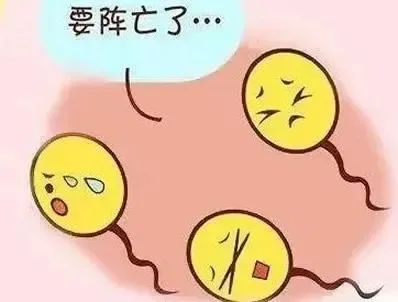 微信图片_20241028150141.jpg