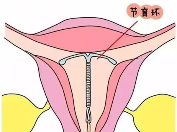微信图片_20241129102143.jpg