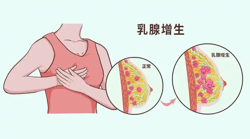 微信图片_20241129112059.jpg