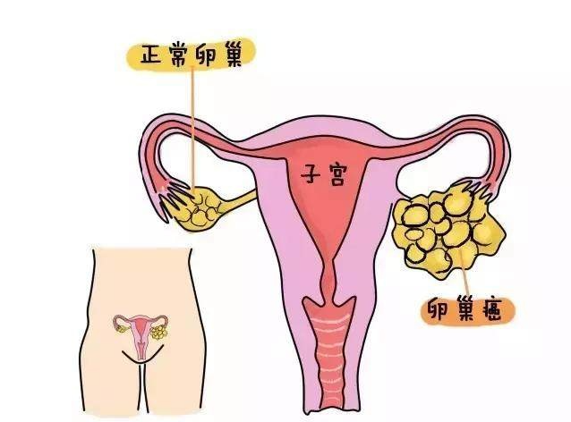 微信图片_20241202114355.png