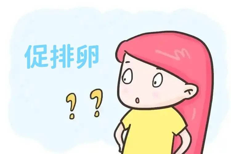 微信图片_20241209115216.jpg 微信图片_20241209115216.jpg