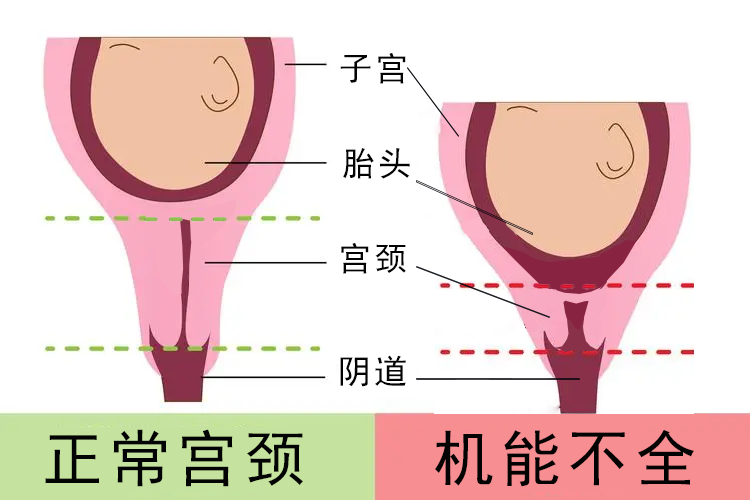 微信图片_20240318084934.png