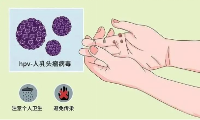 微信图片_20240417081639.png