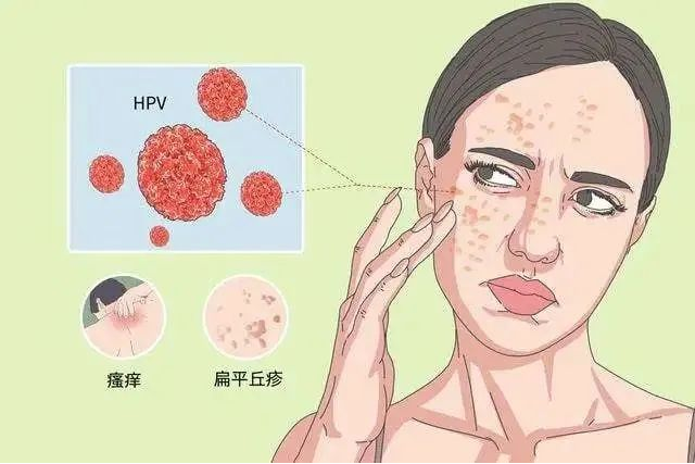 微信图片_20240417081658.png
