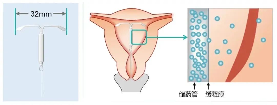 微信图片_20240418103014.jpg