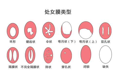 微信图片_20240521092220.png