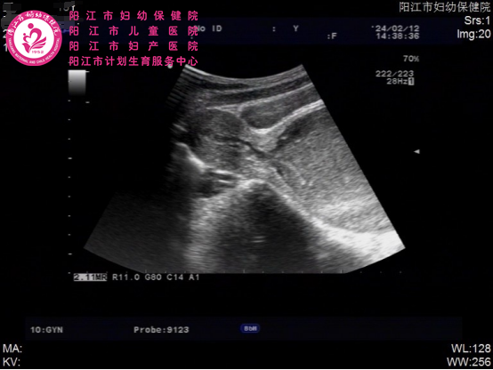 微信图片_20240521092232.png