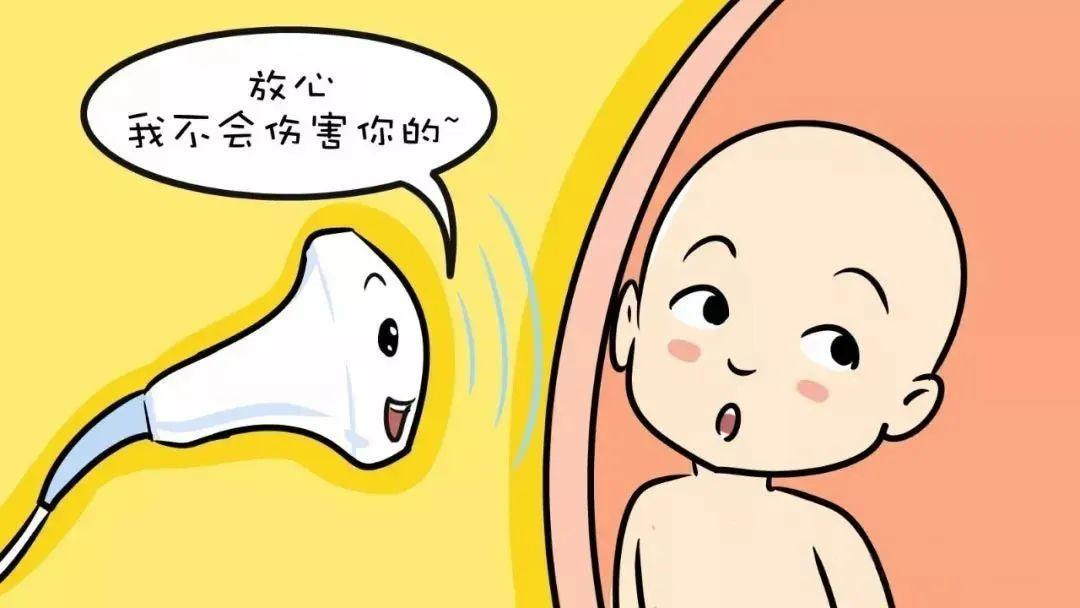 微信图片_20240529084458.png