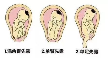 微信图片_20240730143819.png