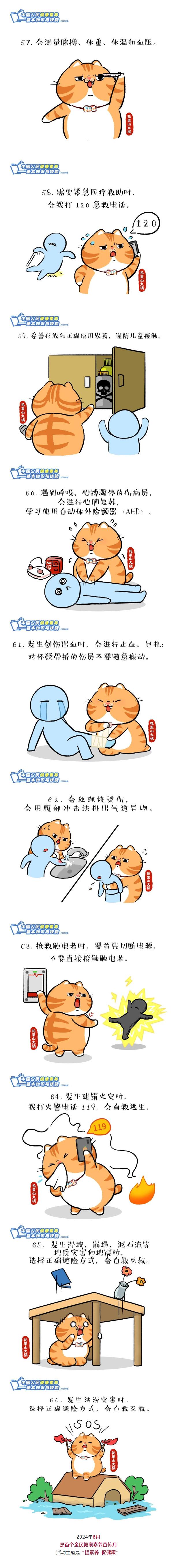橘猫-20240726090839.jpg