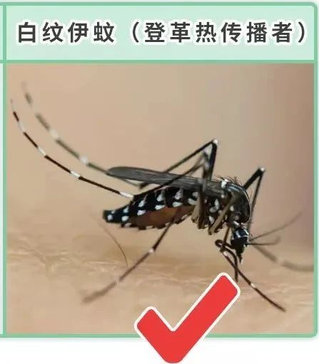 微信图片_20240912171854.jpg
