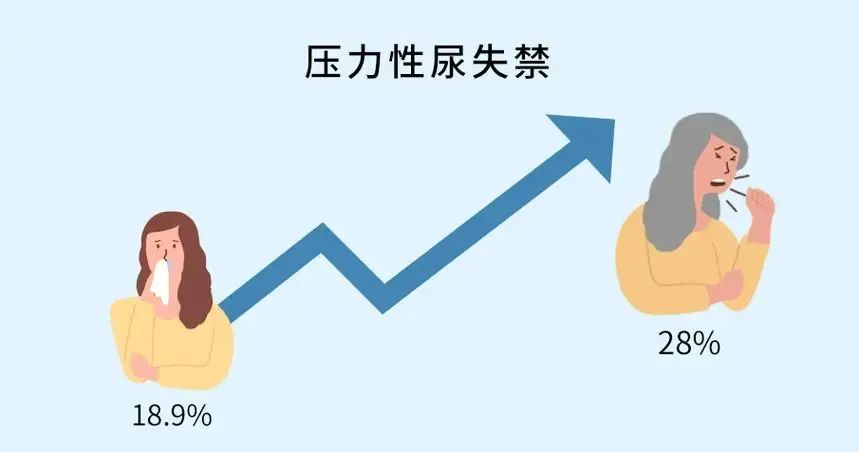 微信图片_20240914111252.jpg