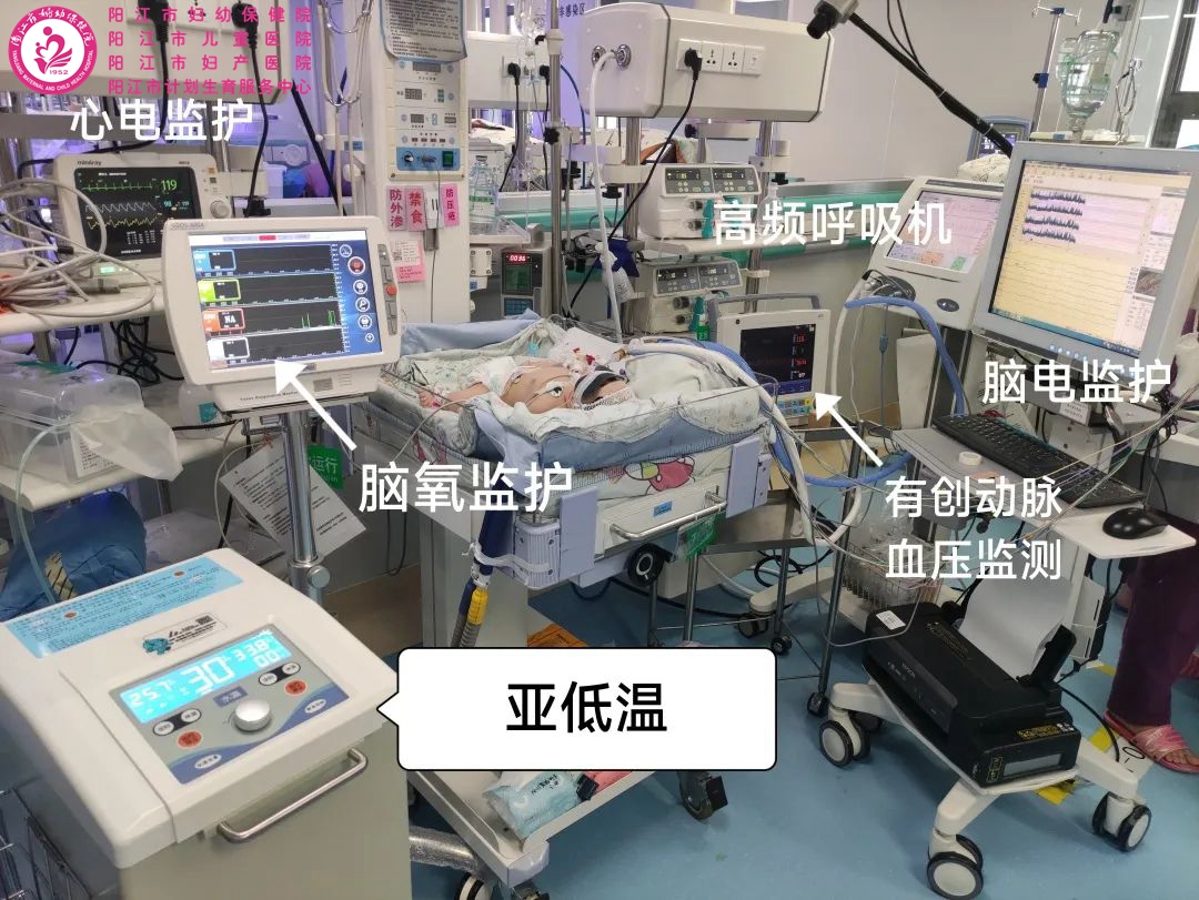 亚低温治疗.jpg