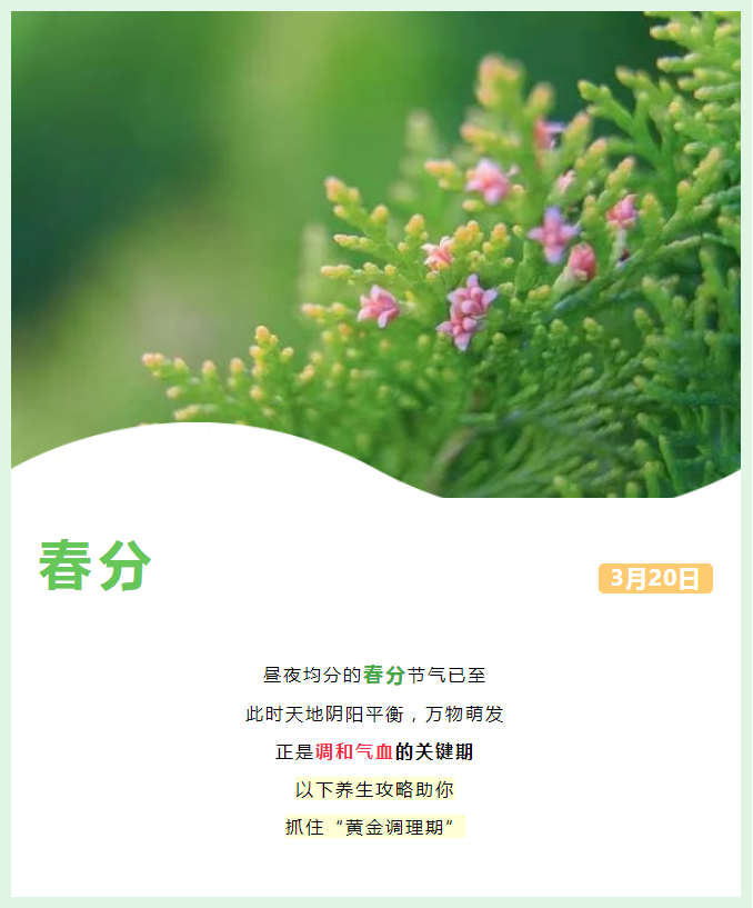 春风养生攻略.jpg