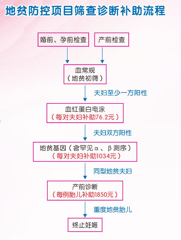 地贫防治补助流程.png
