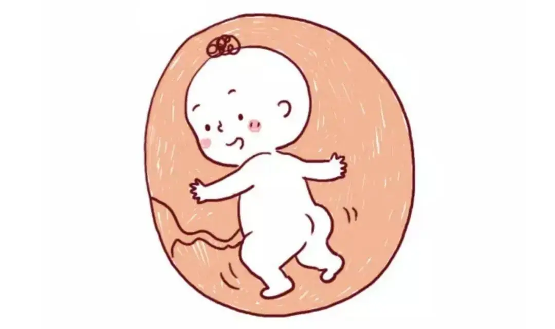 67467465356556.png
