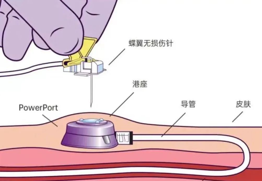 微信图片_20241226114158.jpg