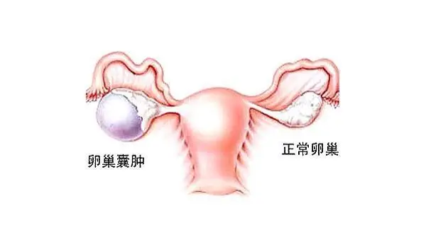 微信图片_20220520165221.png