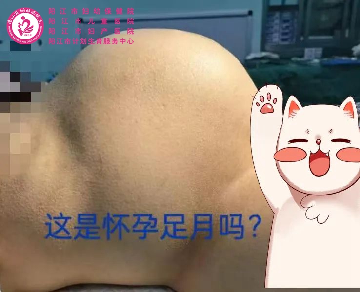 微信图片_20230130113033.jpg