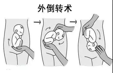 微信图片_20231201114213.jpg