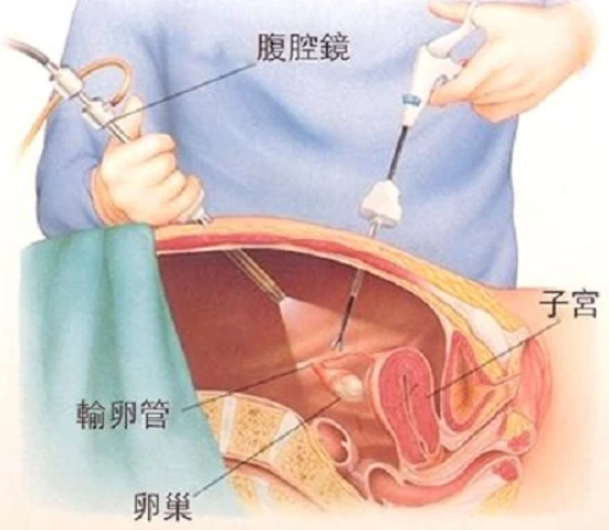 微信图片_20230301084924.png