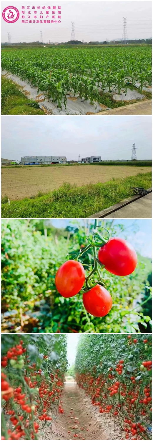 微信图片_20230301091000_副本.jpg