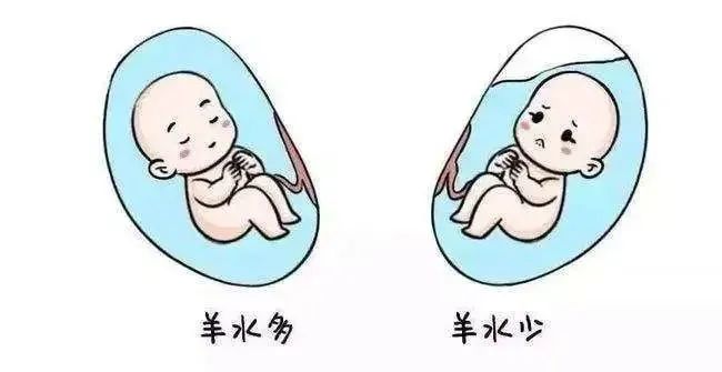 微信图片_20230531113104.jpg