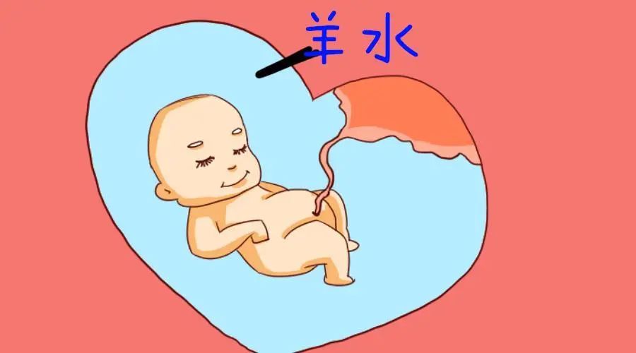 微信图片_20230531113118.jpg