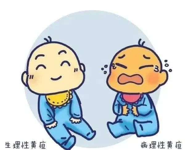 微信图片_20230821170921_2.jpg