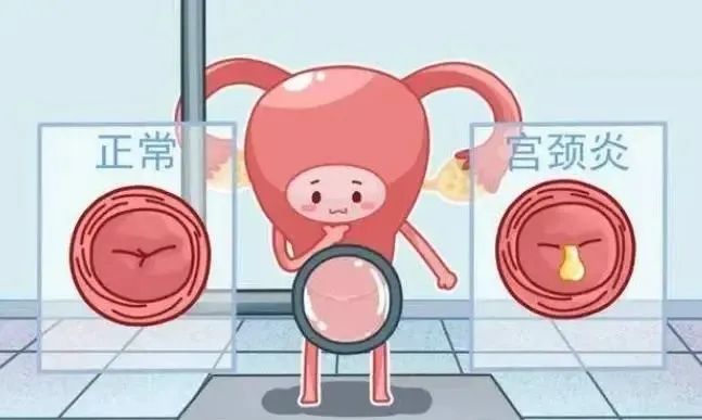 微信图片_20230905104403_2.jpg