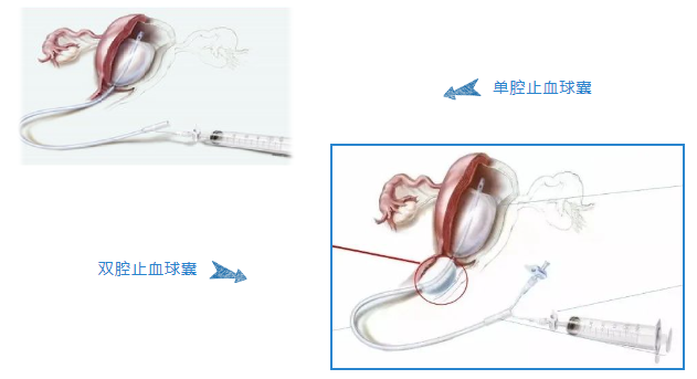 微信图片_20241209114046.png